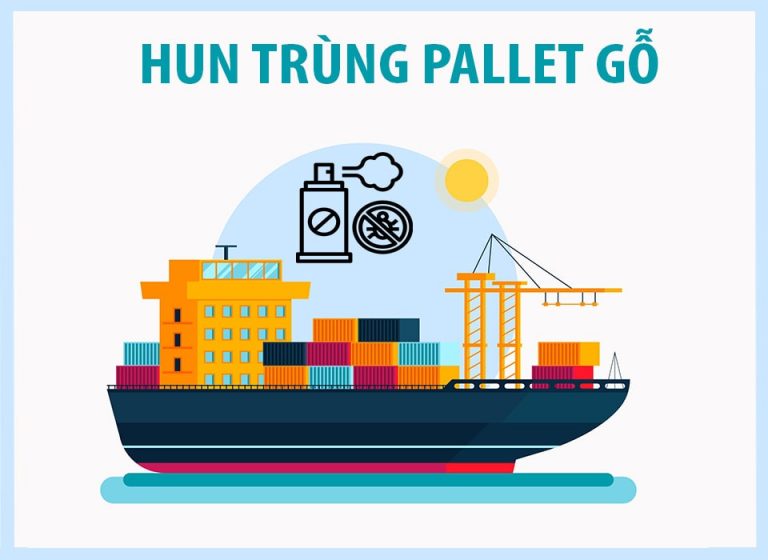 Hun trùng pallet gỗ và những điều cần biết