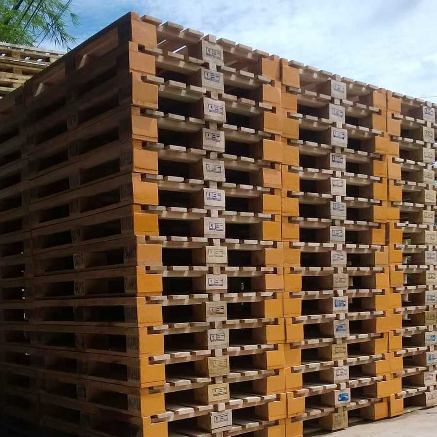 Pallet được chia thành những loại nào